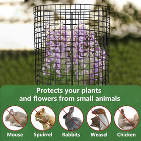 Garden setup with stakes demonstrates secure, stable plant protection