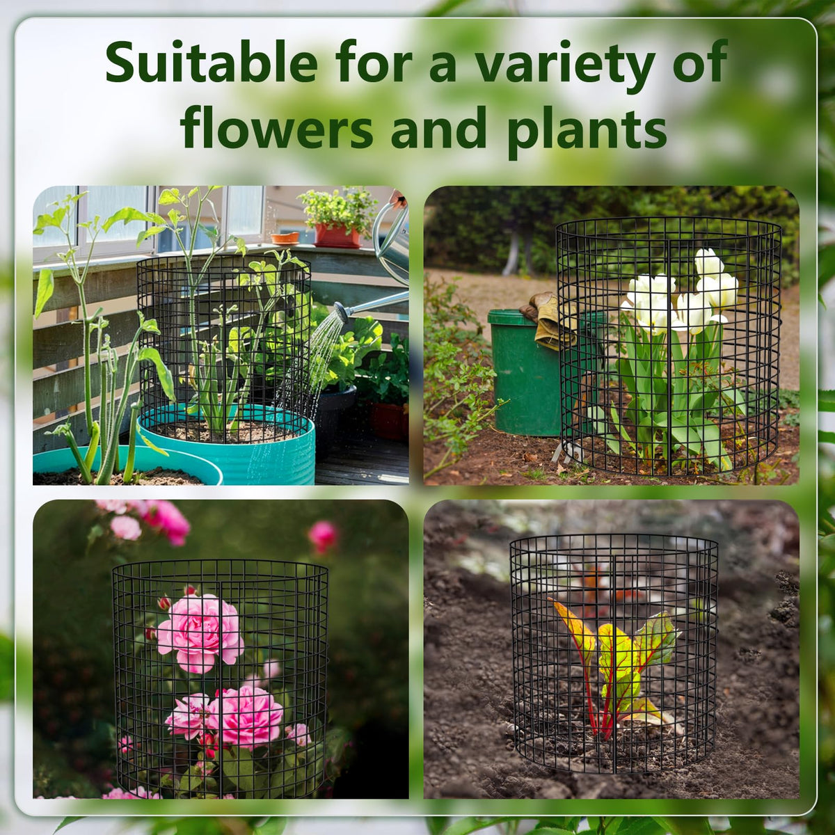 KWISAMR plant protector in a garden setting supports scalable growth