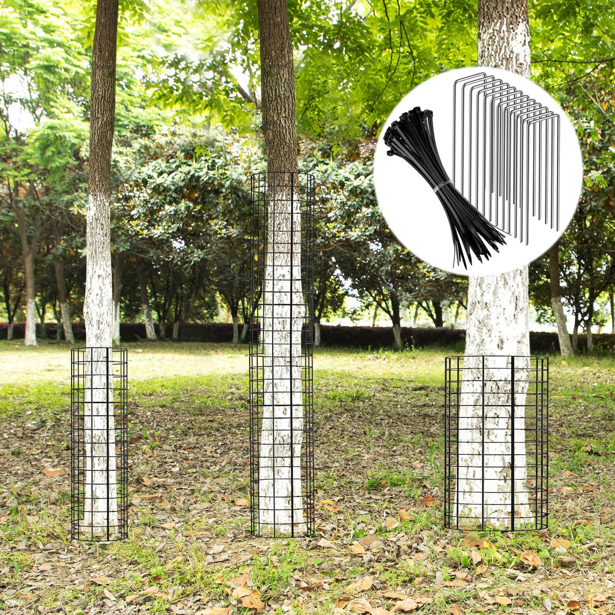 KXCOFTXI combination design adapts to tree growth stages over seasons