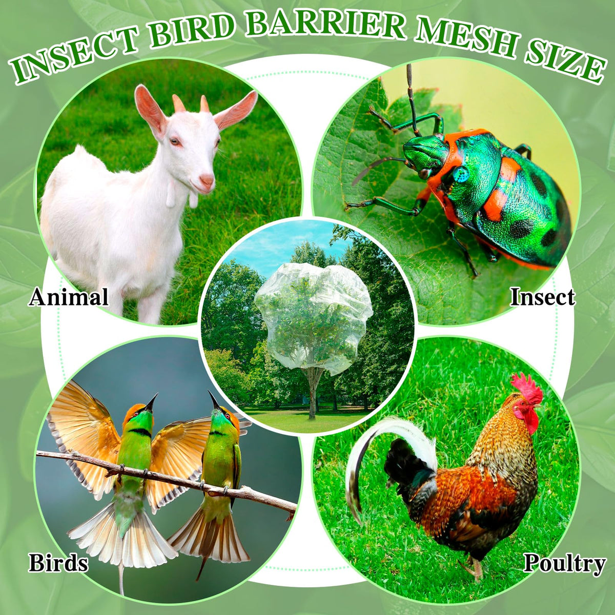 KXCOFTXI insect-proof netting blocks cicadas and other insects without shading crops