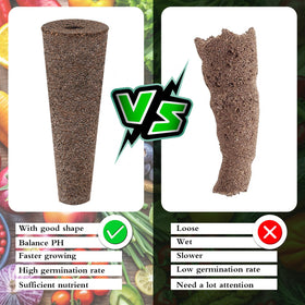KXCOFTXI multi-plant growth sponges showcase versatility.