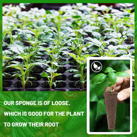 KXCOFTXI seed planting sponges use step visual for simple planting.
