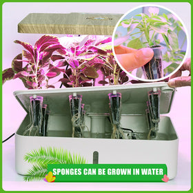 KXCOFTXI sponges indoor garden compatibility with various setups.