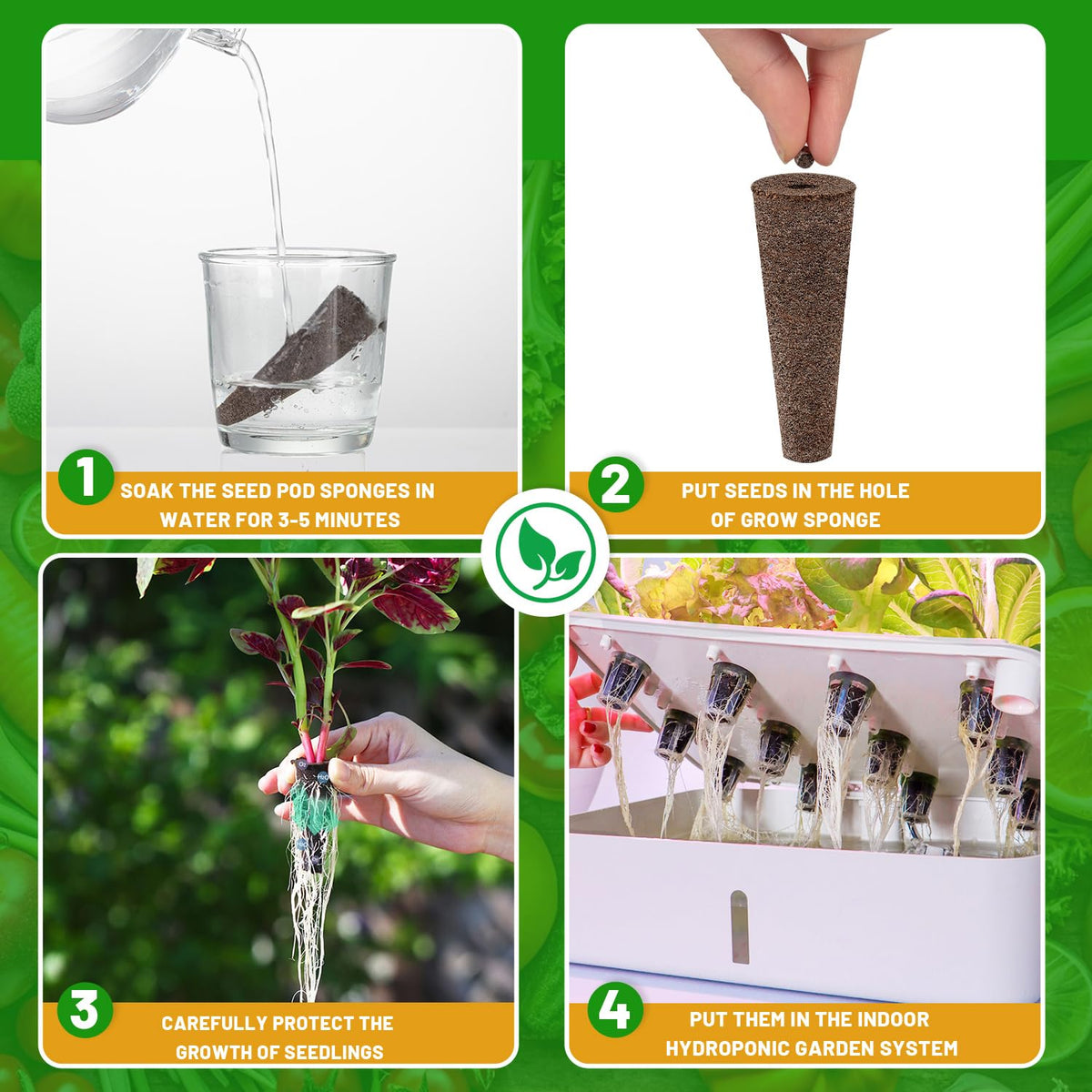 KXCOFTXI sponges transplant-ready image indicates easy soil transfer.