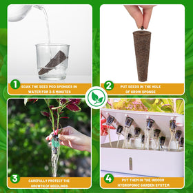 KXCOFTXI sponges transplant-ready image indicates easy soil transfer.