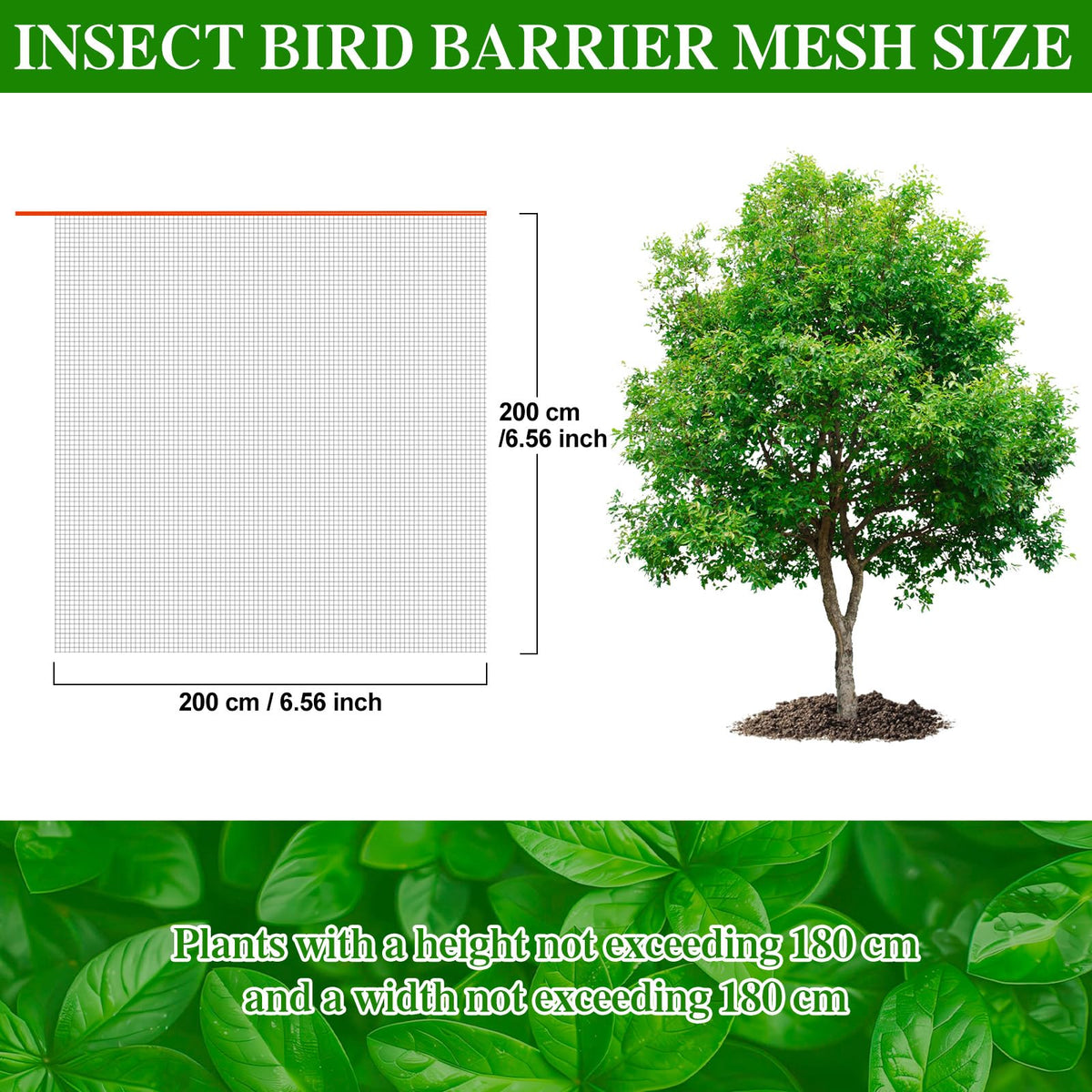 KXCOFTXI 6.56 by 6.56 ft size fits many fruit trees