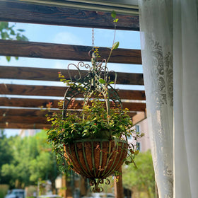 Kynthyre decorative-ironwork-planter-focal-point offers eye-catching style for any space.