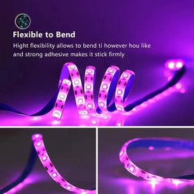 KYUQY LED strip suits succulents, vegetables, and houseplants in homes.