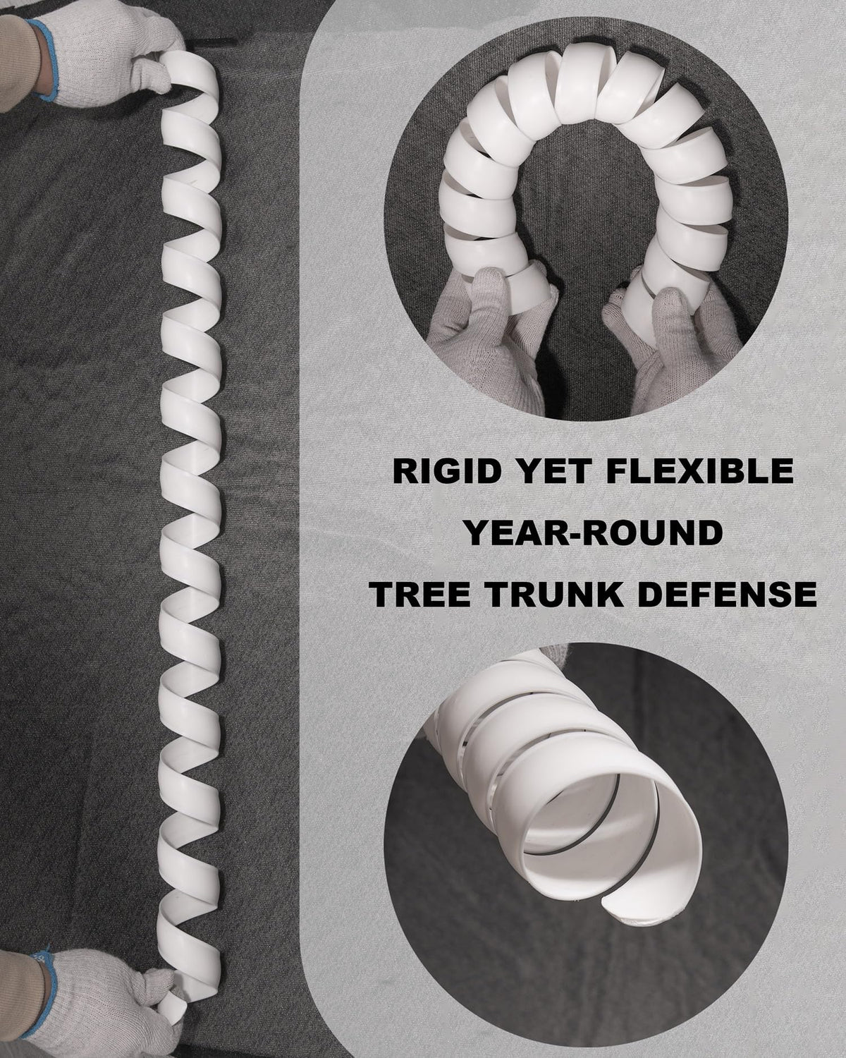 LA BARFUMERIE bark shield protects young trees during garden care.