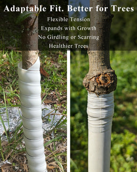 LA BARFUMERIE ventilated guard supports airflow around saplings.