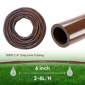 La Farah dripline tubing connected to timer system enables scheduled watering.