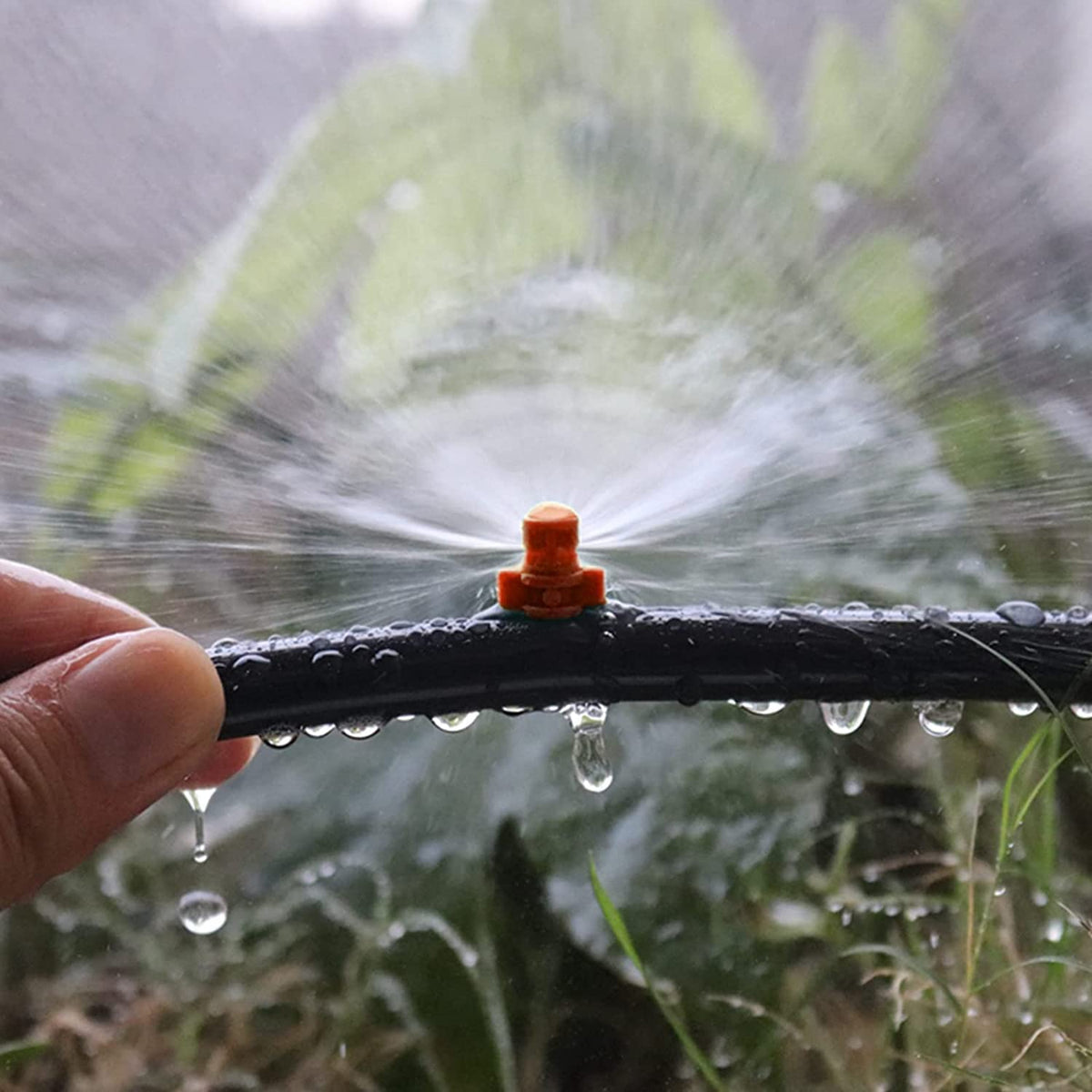 La Farah garden irrigation setup using multiple nozzles