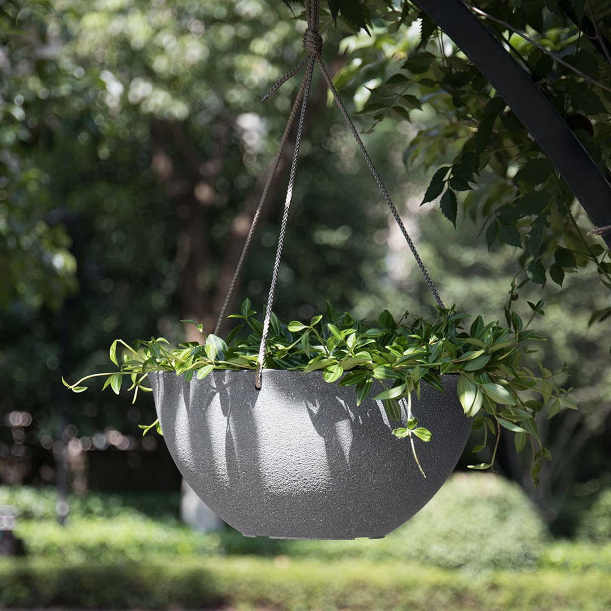 Adjustable triple ropes support up to 20 kg for flexible placement.