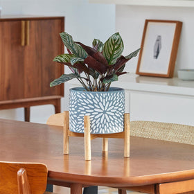 LA JOLIE MUSE ceramic planter with drainage hole supports healthy roots.