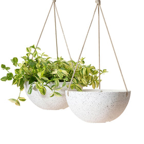 LA JOLIE MUSE display-ready planters for kitchen, living room, or patio.