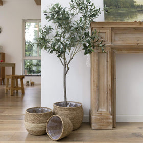 La Jolie Muse seagrass planter large front view for versatile rustic decor.