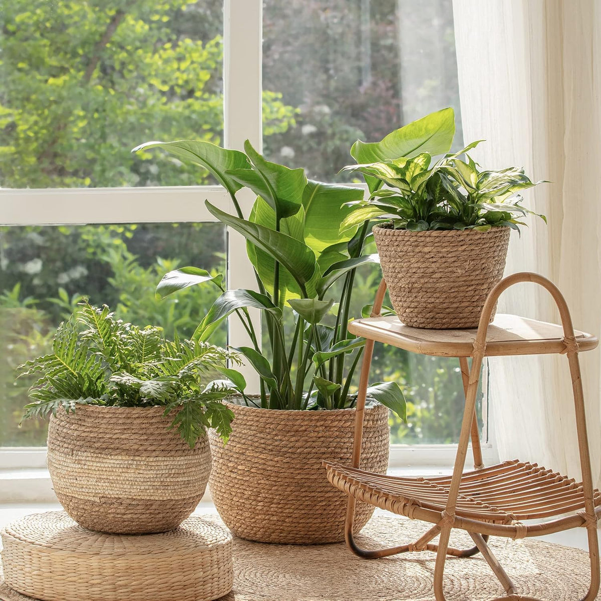 La Jolie Muse seagrass planter medium side view complements natural room styling.