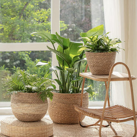 La Jolie Muse seagrass planter medium side view complements natural room styling.