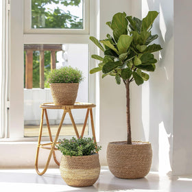 La Jolie Muse seagrass planter small top-down view fits compact shelves.