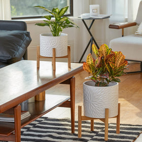 LA JOLIE MUSE planter with drainage hole supports healthy watering.