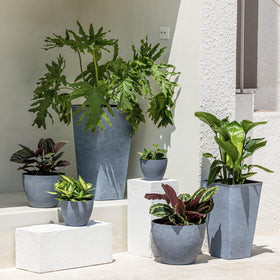 Raised drainage holes prevent over-watering and simplify plant care.