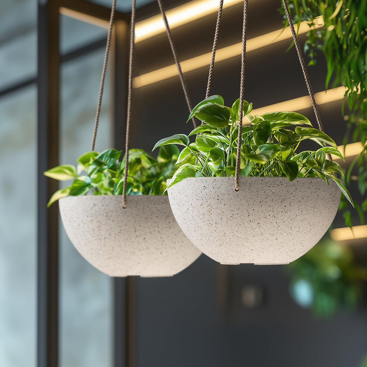 LA JOLIE MUSE triple rope hanger detail on a hanging planter.
