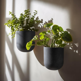 LA JOLIE MUSE wall-planter near staircase corner boosts space-saving greenery.