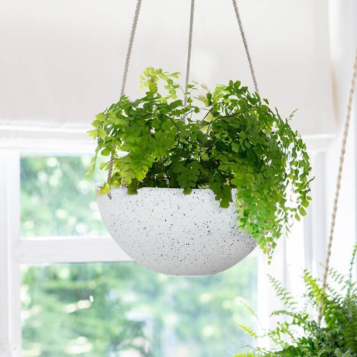 LA JOLIE MUSE weather-resistant planter suitable for sun and frost exposure.