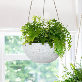 LA JOLIE MUSE weather-resistant planter suitable for sun and frost exposure.