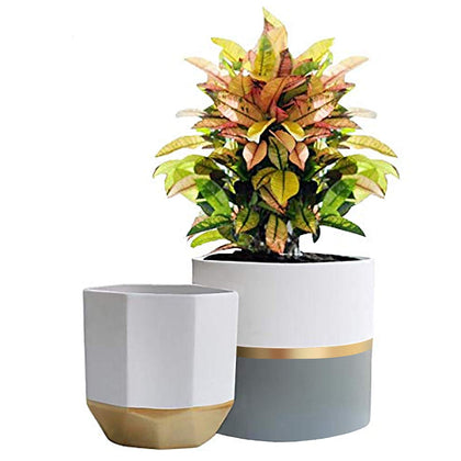 LA JOLIE MUSE grey tall ceramic flower pot with modern detailing for indoor decor
