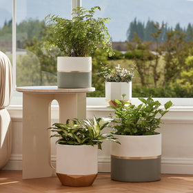 LA JOLIE MUSE indoor-outdoor ceramic planter fits patios and entryways