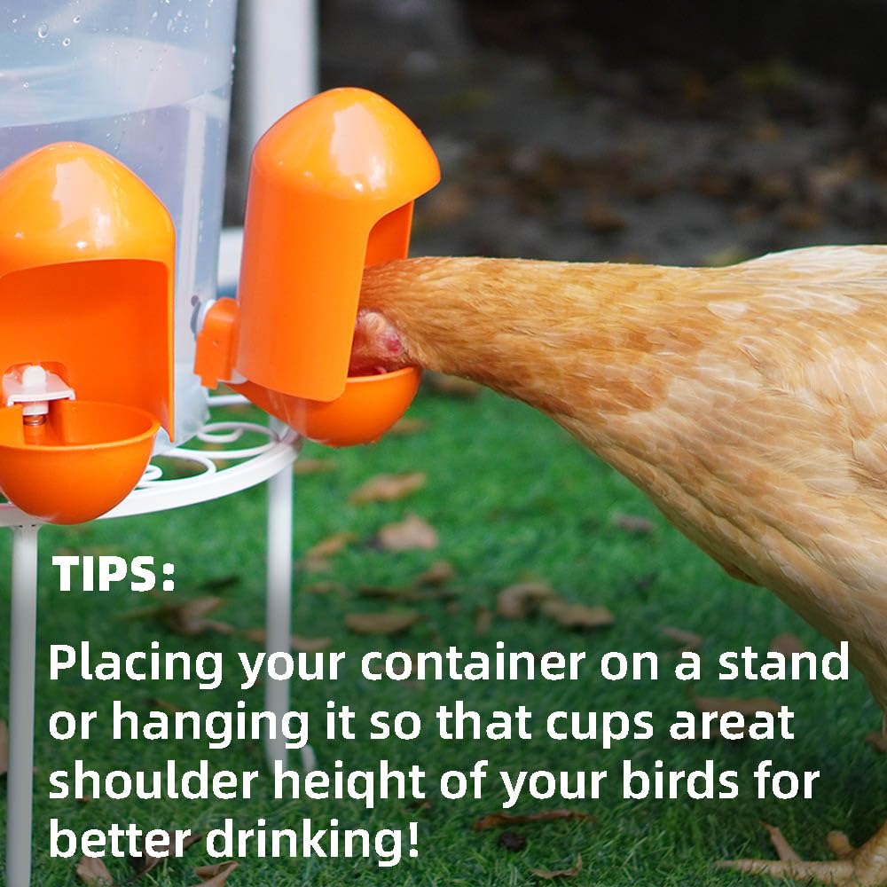 Labodey 5-pack provides multiple drinking stations for larger flocks