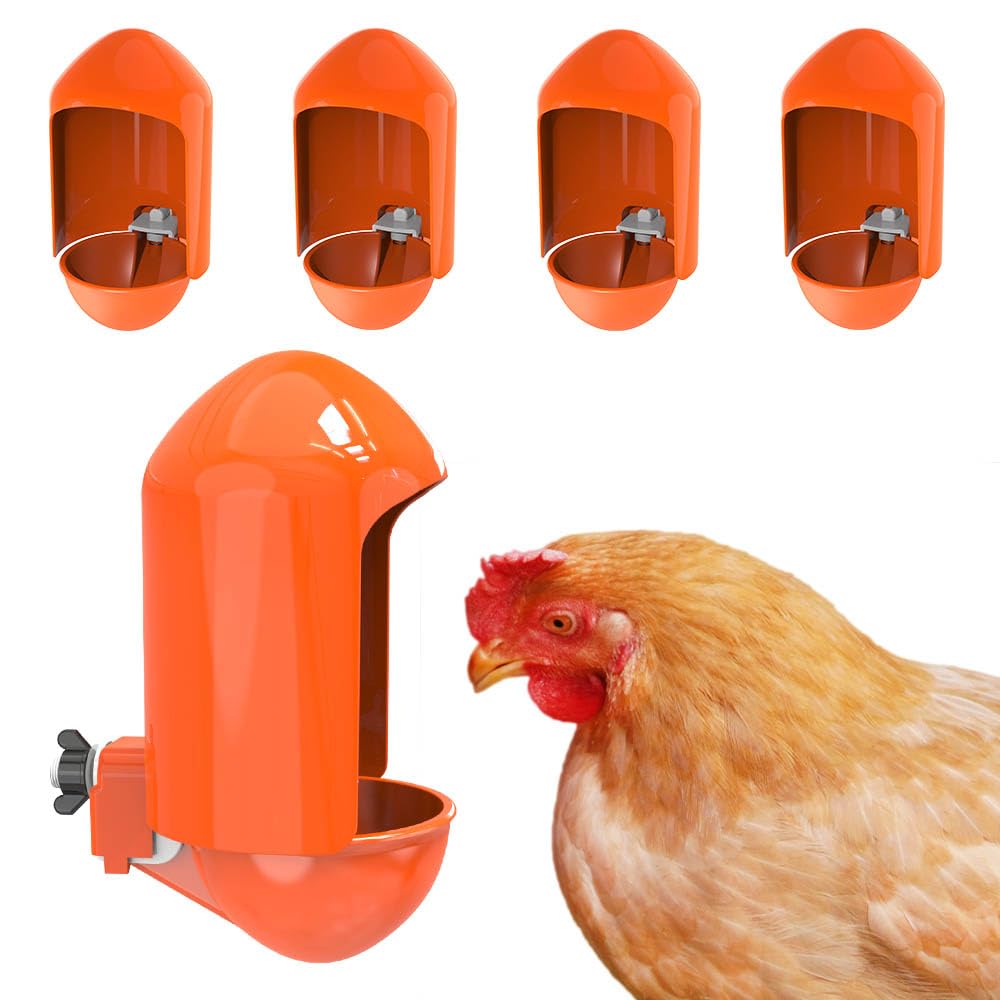 Labodey large chicken waterer cups with wide opening for quick refills and cooling