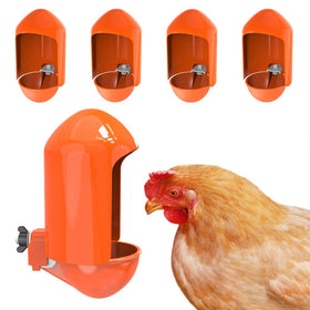 Labodey large chicken waterer cups with wide opening for quick refills and cooling