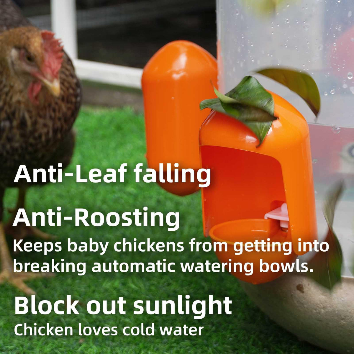 Labodey poultry waterer cups suitable for chicks, ducks, geese, turkeys, and rabbits