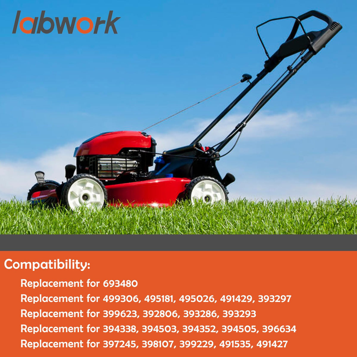 Labwork carburetor kit image displaying complete replacement parts.