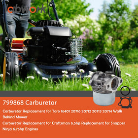Labwork carburetor replacement packaging image highlights ready-to-install kit.