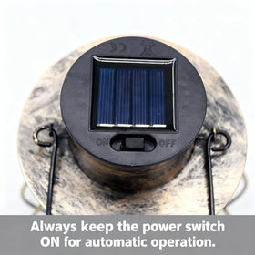 LAbyrent solar LED lights illuminate at dusk for safe evening viewing.