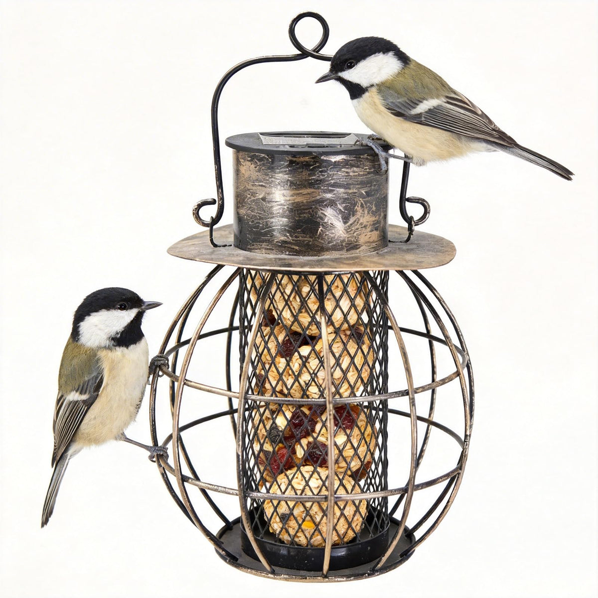 LAbyrent heavy-duty metal bird feeder outside bronze, blocks squirrels, welcomes small songbirds.