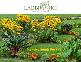 Ladbrooke Mini 5 with EP coating for long-lasting garden use.