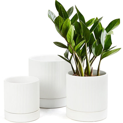LaDoVita 3-pack large 6-inch ceramic planters with stripe finish for versatile indoor displays.