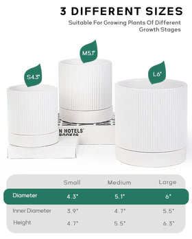 LaDoVita 3-pack medium 5-inch planter with drainage holes for healthy indoor plants.