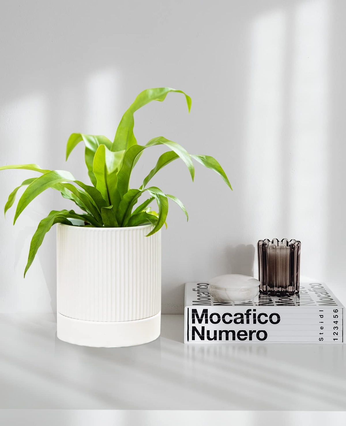 LaDoVita indoor-outdoor planter suitable for patios and living spaces.