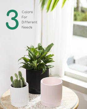 LaDoVita planter with drainage holes and tray helps prevent overwatering.