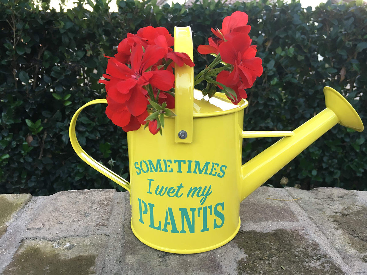 Laila and Lainey patio watering can for outdoor containers and patios.