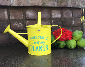 Laila and Lainey watering can with 1.6 L capacity for balcony herb gardens.