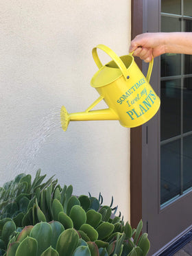 Laila and Lainey yellow galvanized metal finish adds cheerful style to any plant setup.