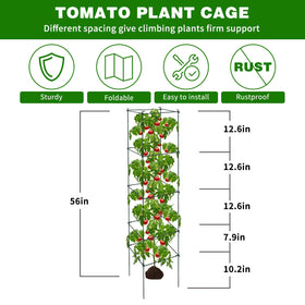 LAKNUAL 4-tier plant support cages help distribute growth with flexible spacing