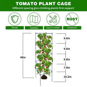 LAKNUAL 4-tier design provides varied spacing for growing tomato plants