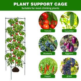 LAKNUAL versatile garden cage supports cucumbers, flowers, and beans